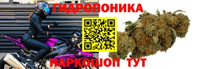 гашик Малгобек