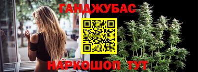 гашик Малгобек