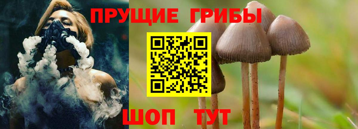 Псилоцибиновые грибы мицелий Щёлково